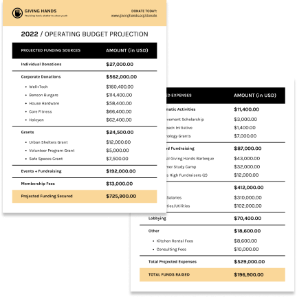 Operation budget template