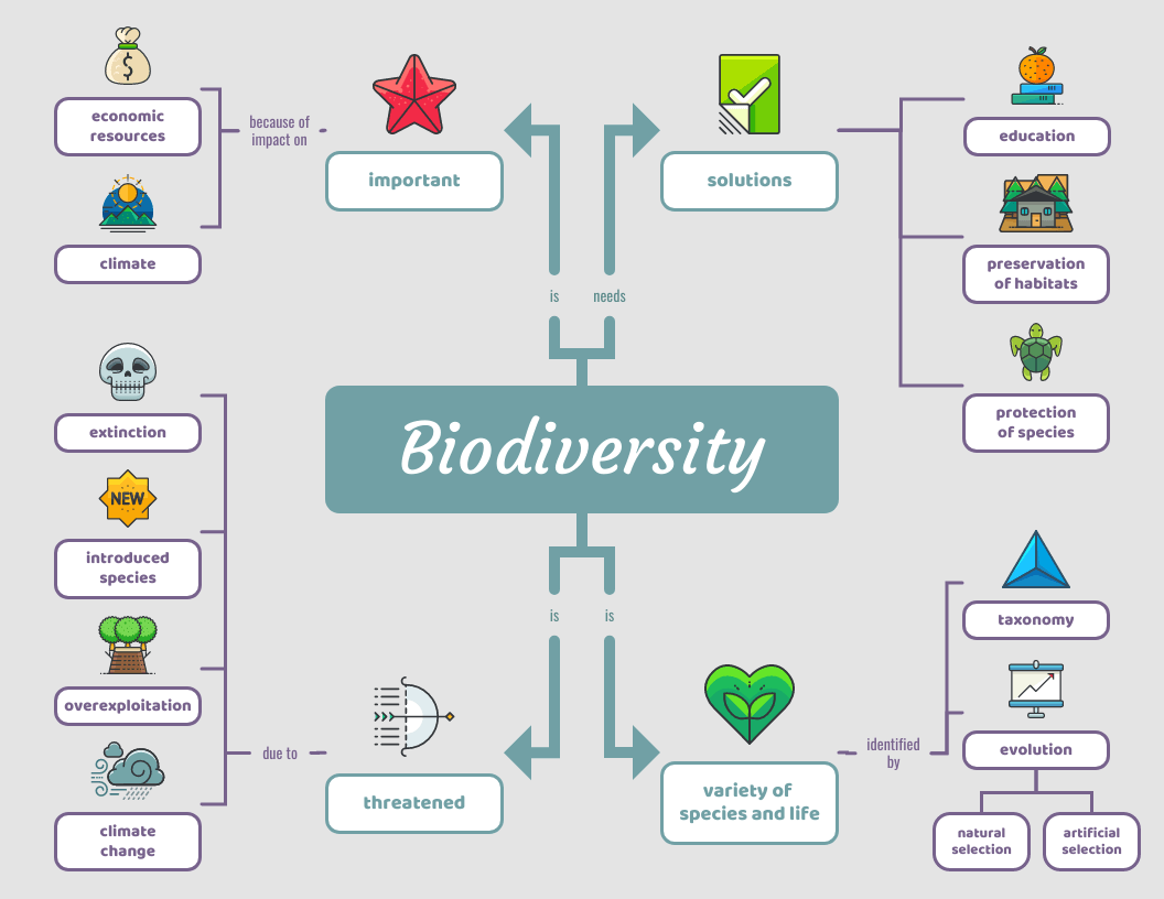 concept map example