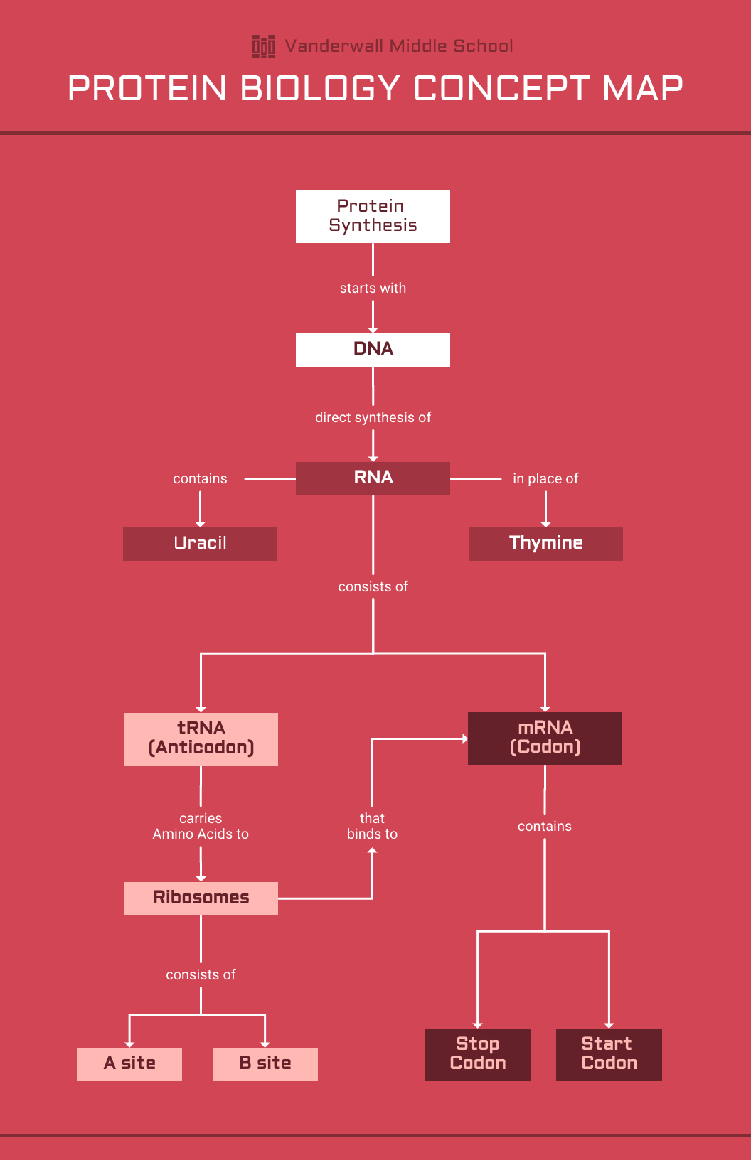 concept map example