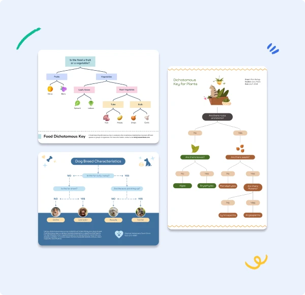 What is a dichotomous key and when can you use it?