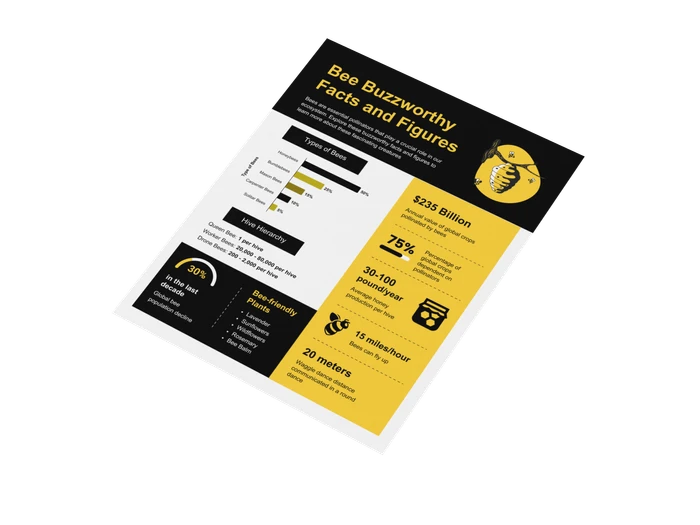 bee infographics templates