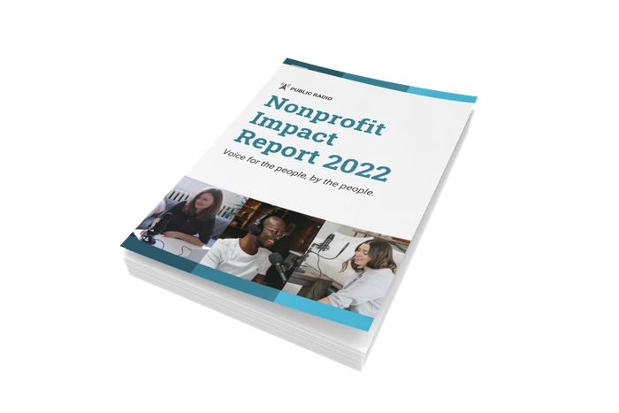 nonprofit report templates