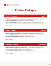 Red And Beige Modern Pricing Proposal - Page 3