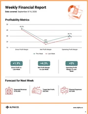 Weekly Financial Report Template - Page 4