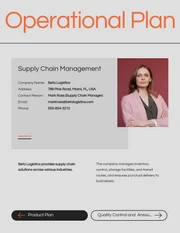 Modern Clean Orange Operational Plan - Page 3