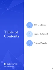 Blue Financial Report Summary Template - Page 2