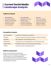 Social Media Strategy Proposal - Page 3