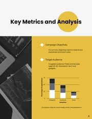 White and Yellow Data Report - Page 4