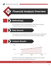 Financial Analysis Consulting Report - Page 3