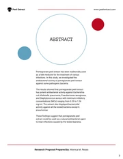 Research Proposal Template - Page 3