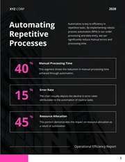 Operational Efficiency Report - Page 3