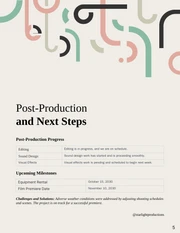 Full Soft Color Simple Shape Production Report - Page 5