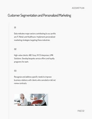 Minimalist Gray And White Account Plan - Page 2