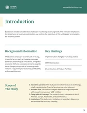 APA White Paper Template - Page 3