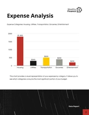 Black and White Minimalist Data Report - Page 3