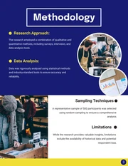 Market Research Consulting Report - Page 3