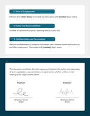 VP Of Operations Employment Contract Template - Page 2