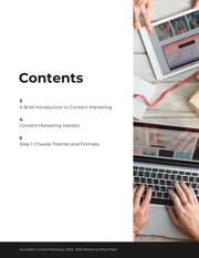 Successful Content Marketing White Paper - Page 2