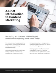 Successful Content Marketing White Paper - Page 3