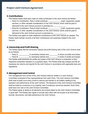 Navy and Orange Modern Project Joint Venture Agreement - Page 2