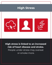 Heart Disease Risk Factors Instagram Carousel - Page 3