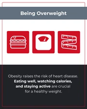 Heart Disease Risk Factors Instagram Carousel - Page 4