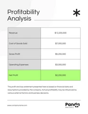 Black and White Simple Company Financial Plans - Page 4