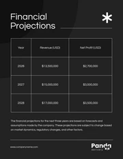 Black and White Simple Company Financial Plans - Page 5