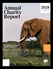 Black, White and Orange Animal Organization Annual Charity Report - Page 1