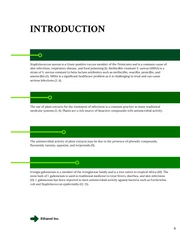 White and Green Consulting Proposal Template - Page 4