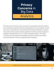 Navigating Ethics: Analytic Privacy Issues Report - Page 5