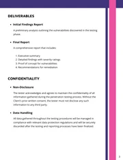 Penetration Testing Contract Template - Page 3