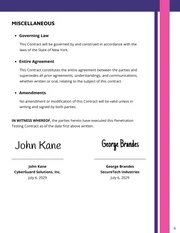 Penetration Testing Contract Template - Page 6