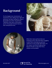 Product Case Study Template - Page 3