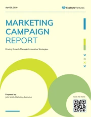 Marketing Campaign Report Template - Page 1