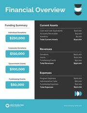 Blue Black and White Annual Charity Reports - Page 4