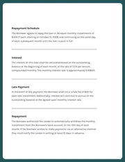 Minimalist Tosca and White Loan Contracts - Page 2