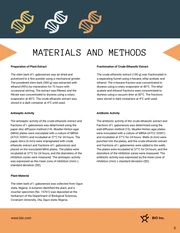 Abstract Green Research Proposal Template - Page 5