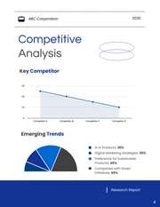 Market Research Report - Page 4