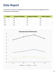 Financial Risk Assessment Report - Page 4