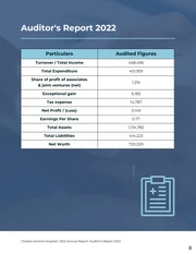 Professional Healthcare Annual Report - Page 8