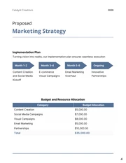 New Marketing Business Proposal - Page 4