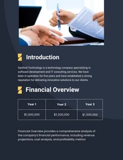 Dark Blue Financial Plans - Page 2