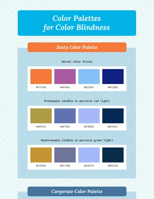 premium  Template: Color Palettes for Color Blind Infographic Template