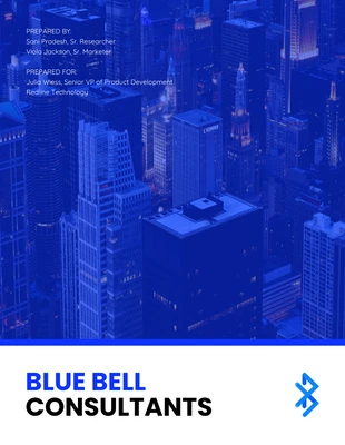 business  Template: Blue Color Social Media Consulting Proposal Template