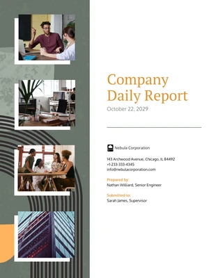 business  Template: Company Daily Report Template