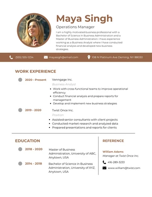 Free  Template: Professional Business Operations Manager Resume Template