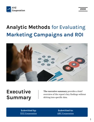 Free  Template: Evaluating Marketing ROI Analytics Methods Report Template