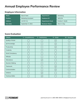 premium  Template: Annual Employee Performance Review Template