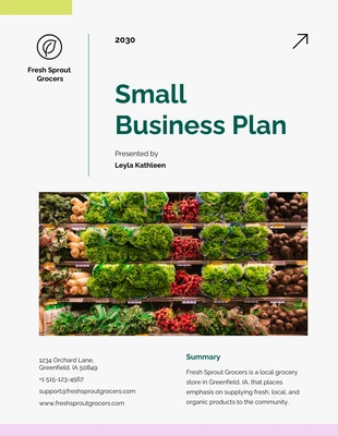 Free  Template: Green Pink Small Business Plan Template